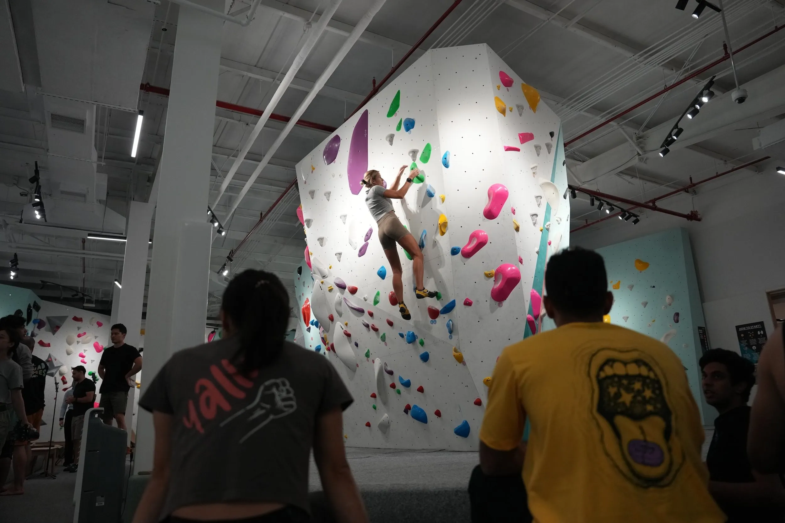 Group of climbers with a female climber