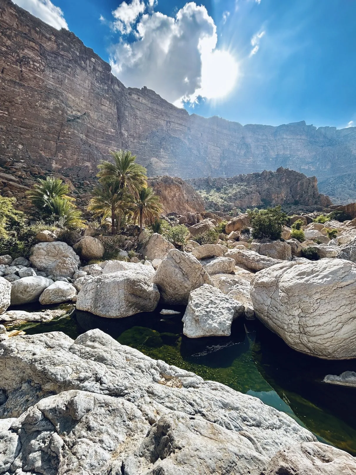 Boulders, green pools, and date palm in Umq Bir