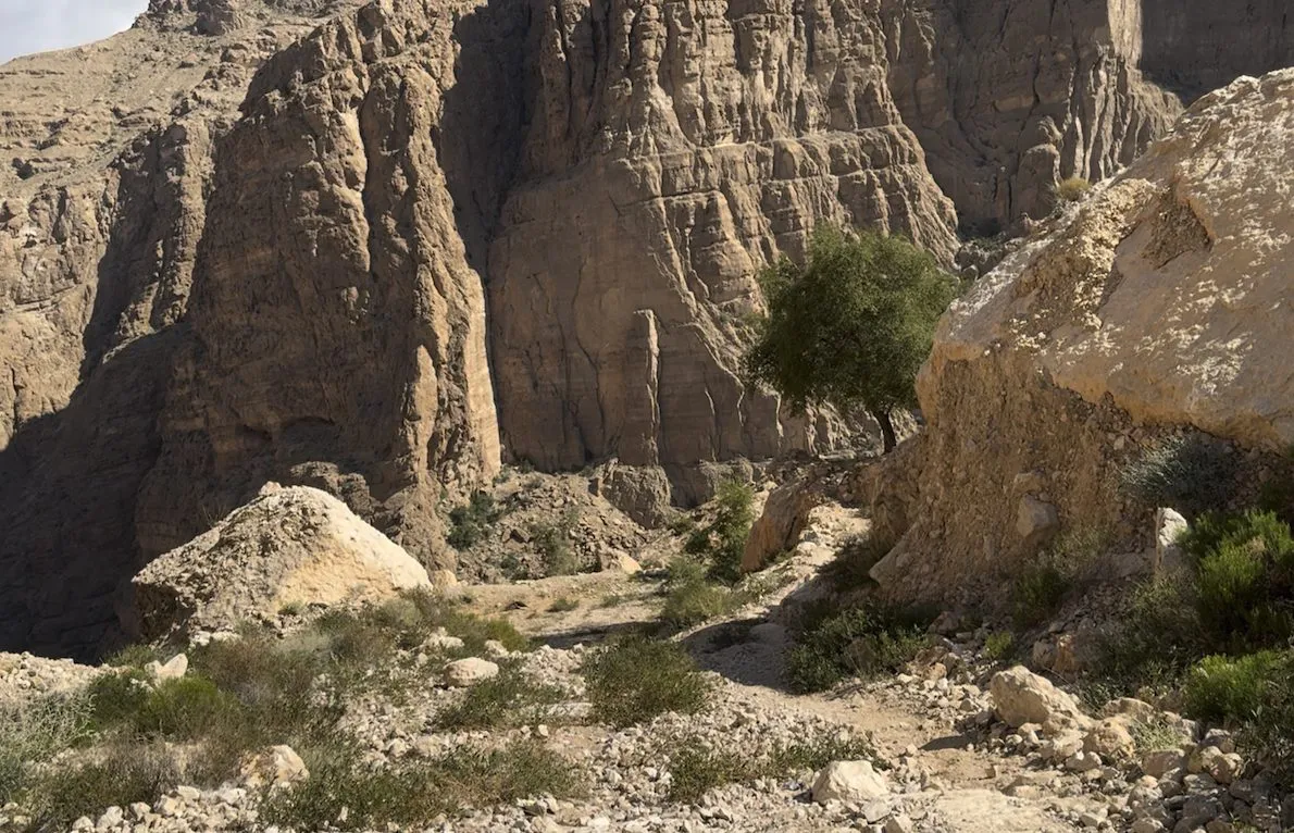 Path by the tree to the crag