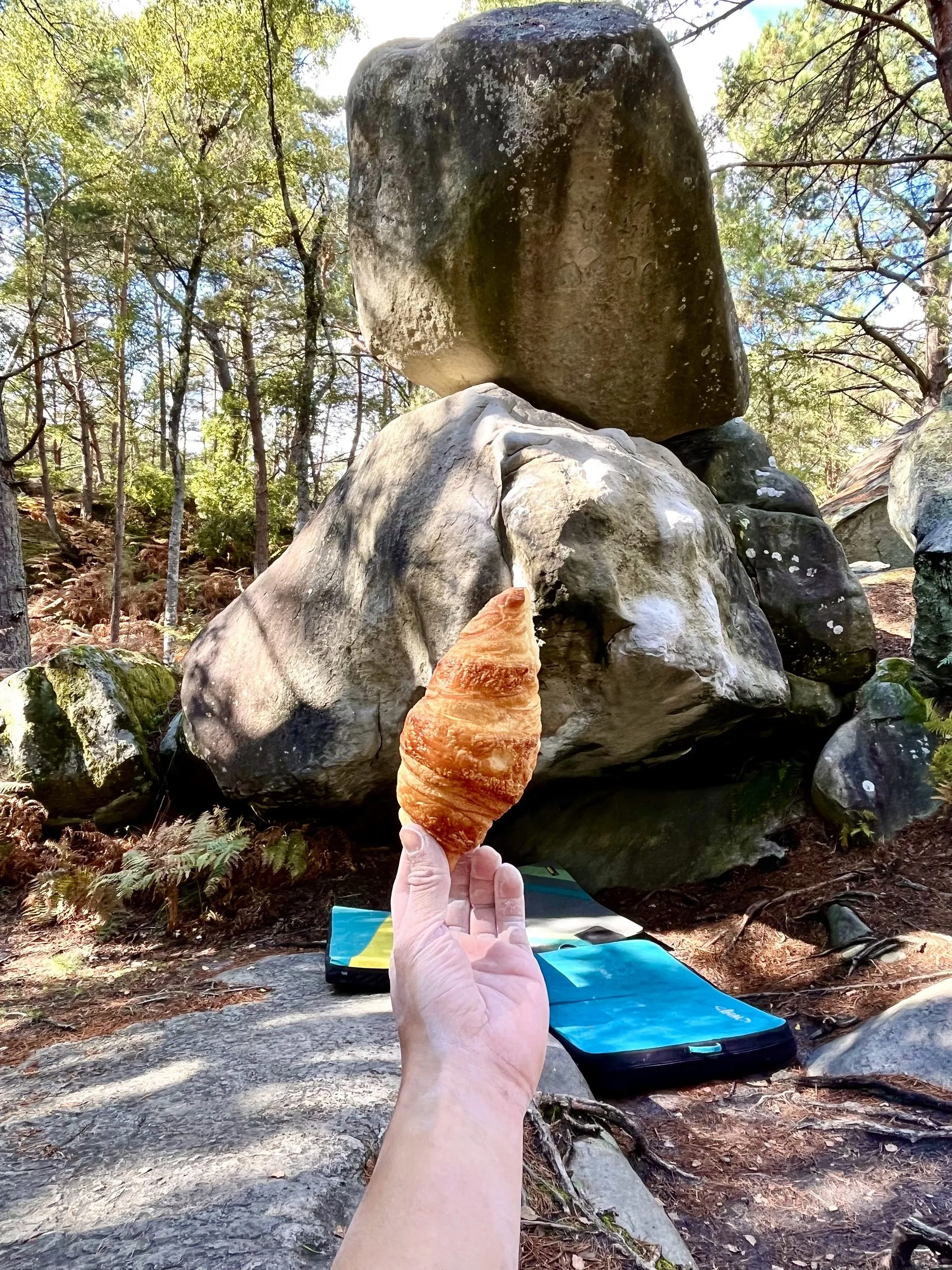 Fontainebleau Trip Guide — photo 1