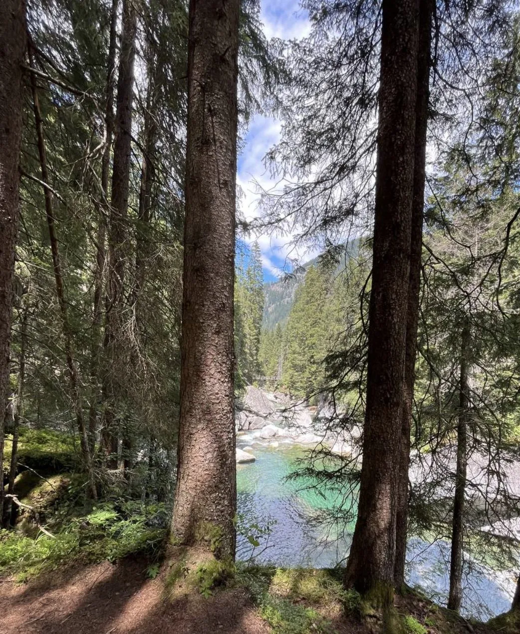 Magic Wood Trip Guide — photo 2